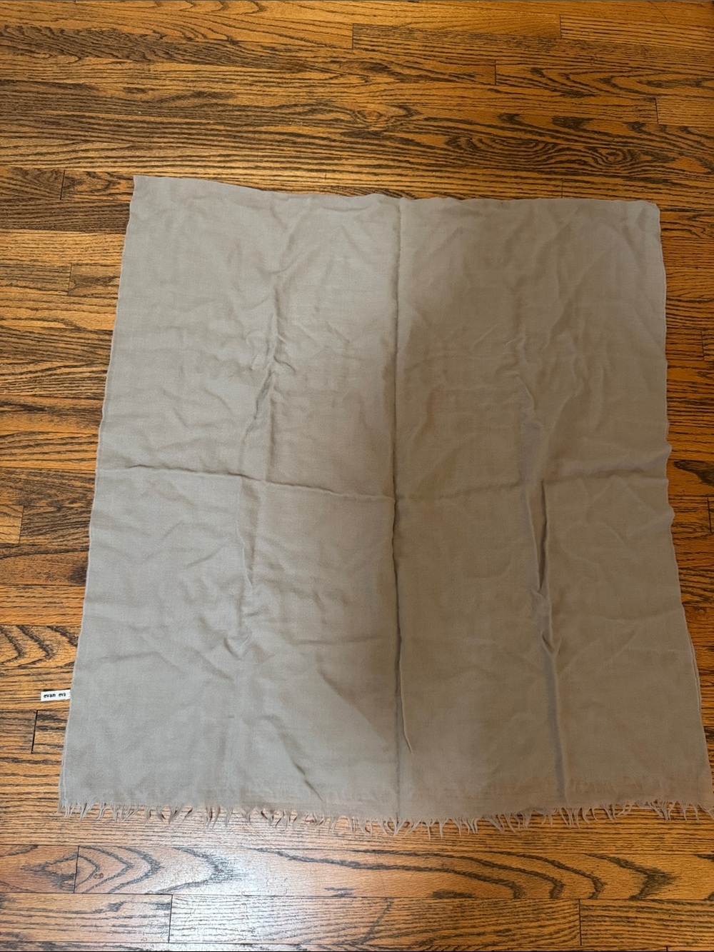 Light Gray Women's Scarf & Wrap (Cashmere)